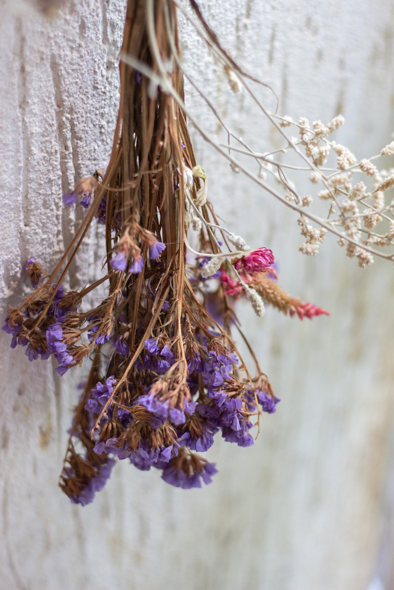 How To Dry And Preserve Flowers At Home