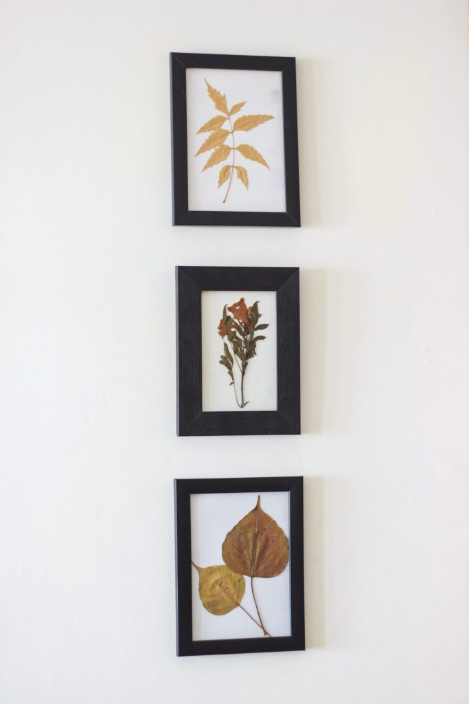 Pressed flower wall art