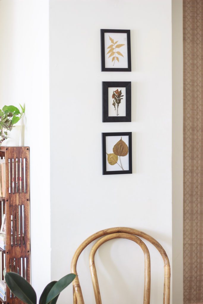 Pressed flower wall art