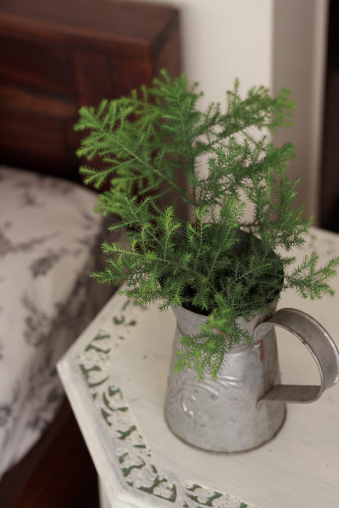  Using Ferns for our Christmas decor in the  Living Room
