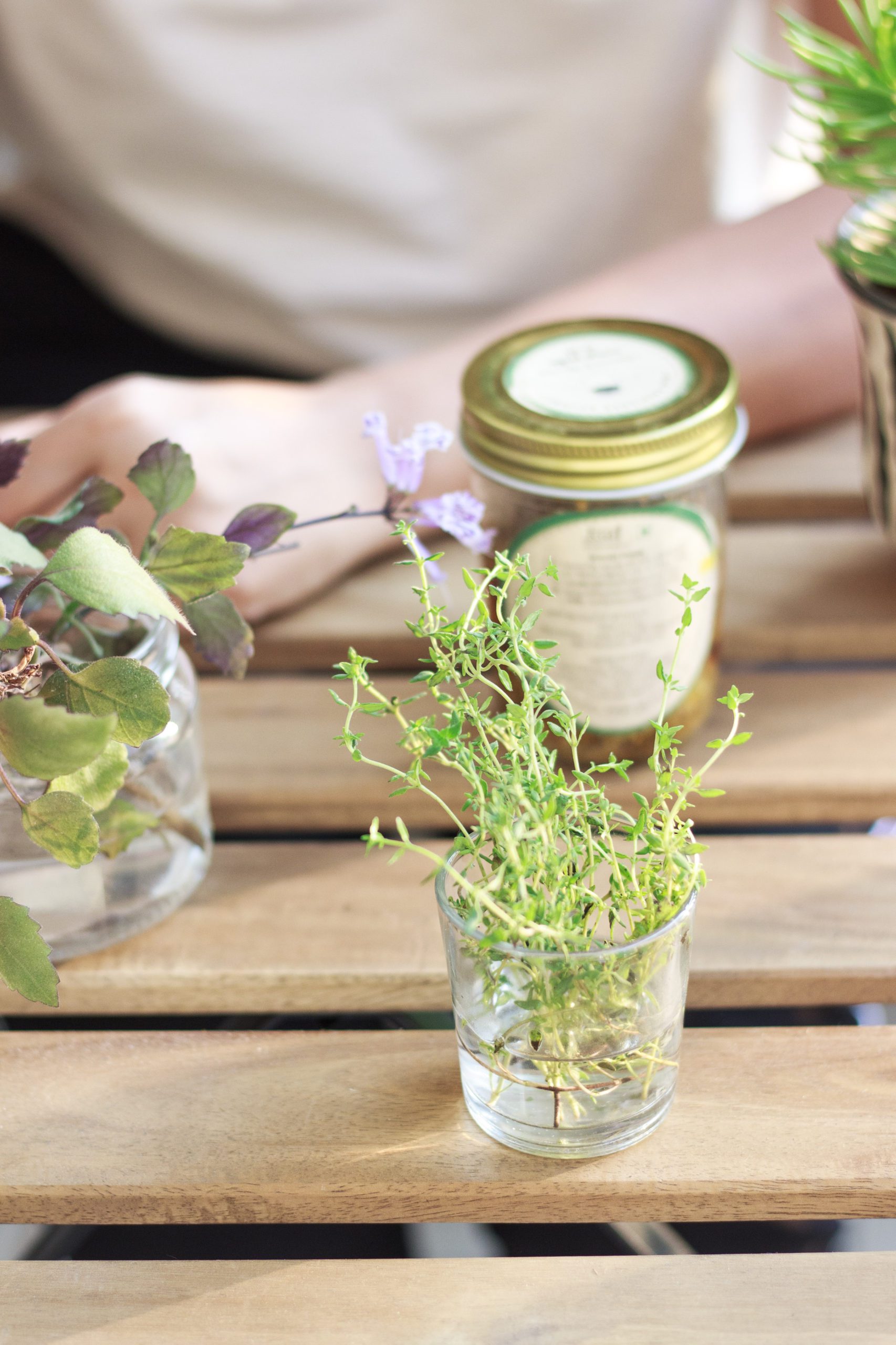 Thyme in an old candle container 