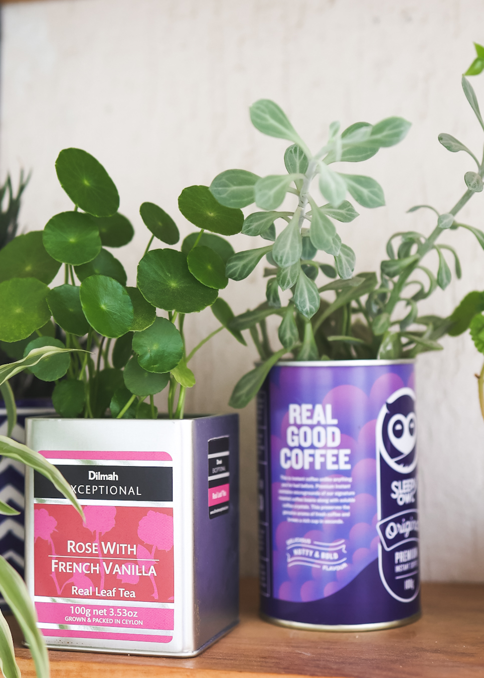 Tea Coffee Tins make great Planters/Vases too