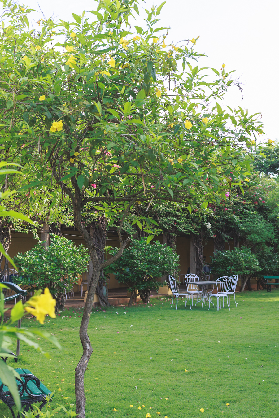 The gorgeous gardens at CGH Visalam, Chettinad