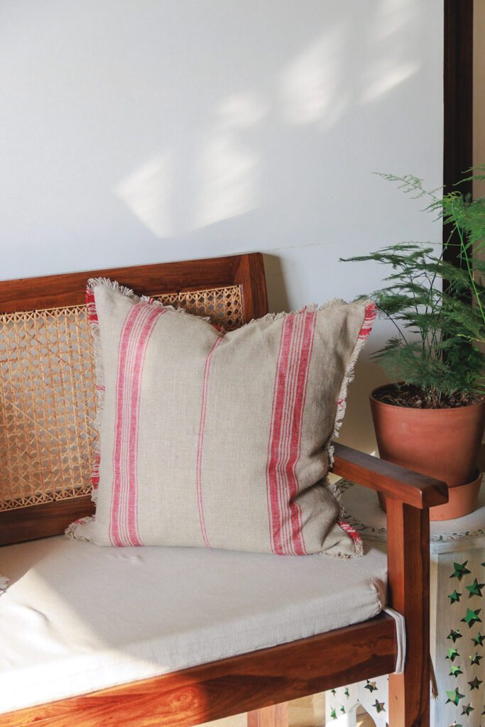 French Ticking in Red & a Fern in our Christmas Living Room