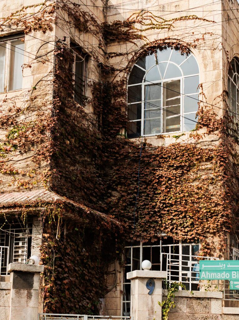 Things to do in Amman during fall season
