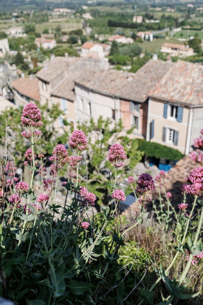 Mornings in the gorgeous village of Bonnieux
