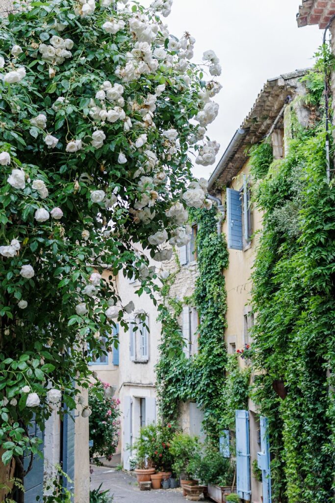 A lane in Goult straight out of a fairytale