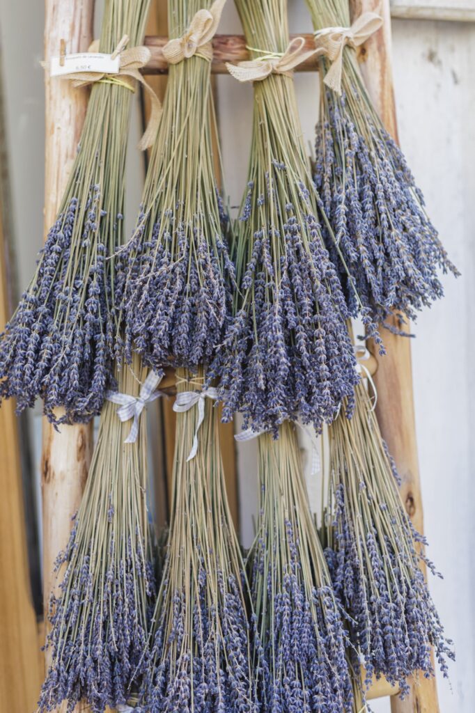 
Dried Lavender bunches in Arles