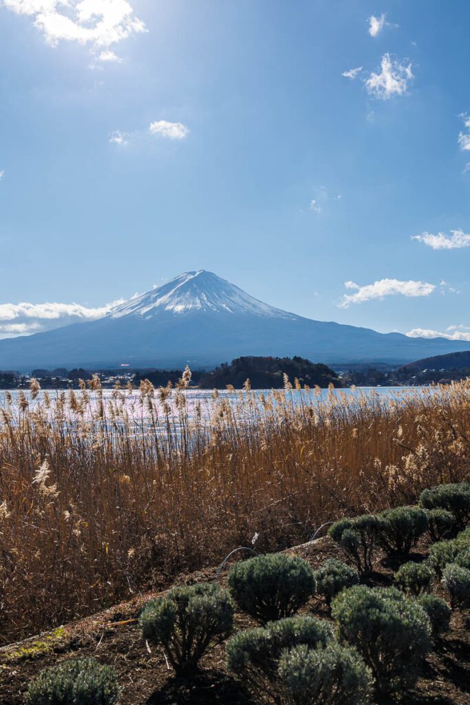 The Fuji Five Lakes region
