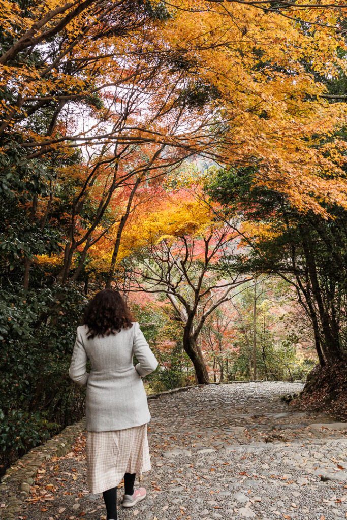 Beautiful Autumn Colours, Kyoto