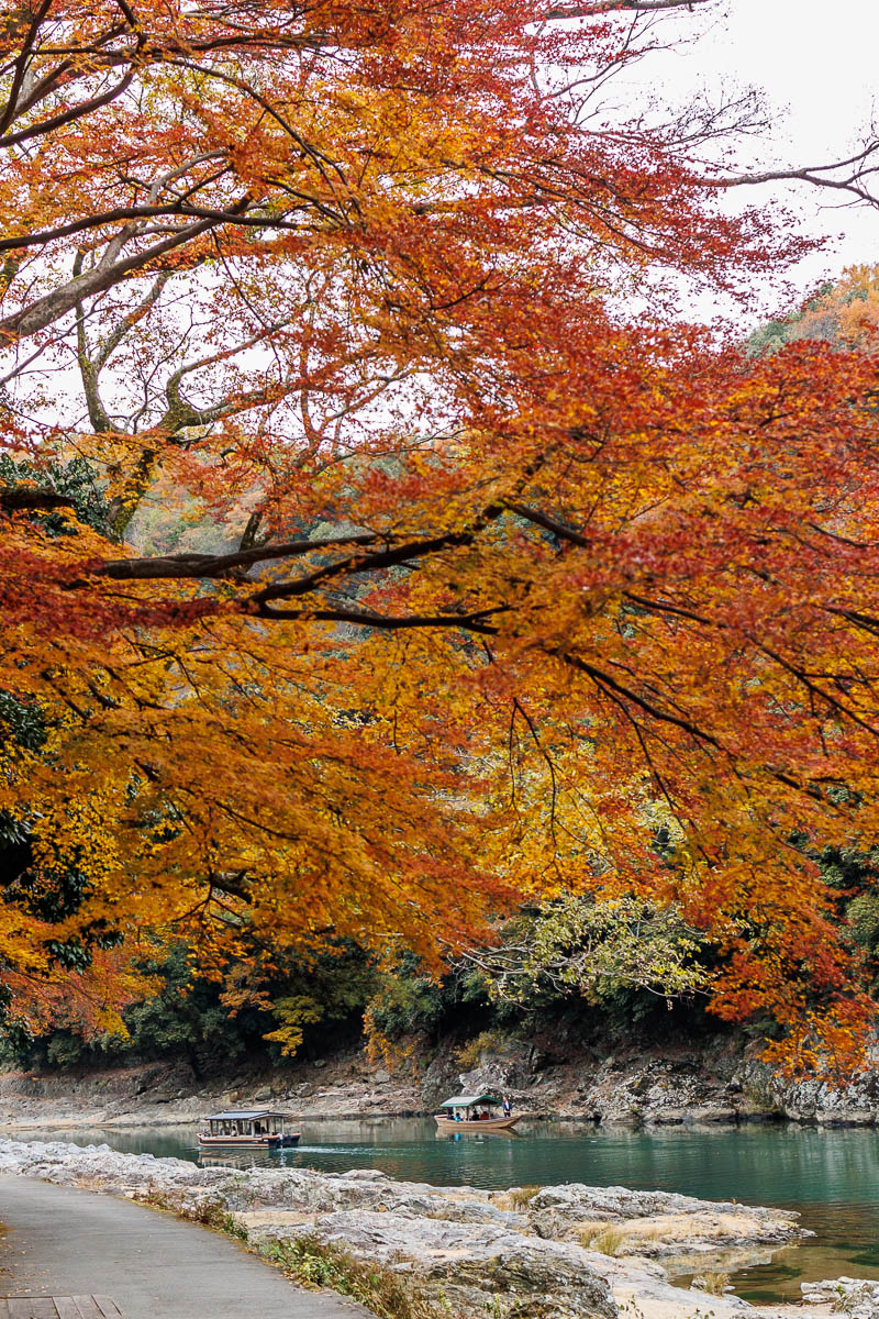Autumn leaves in Japan