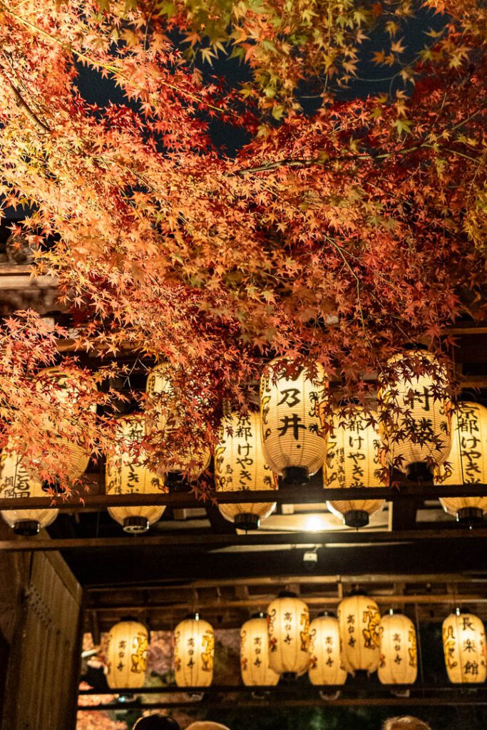 Night illumination in Kodaiji Temple, Kyoto