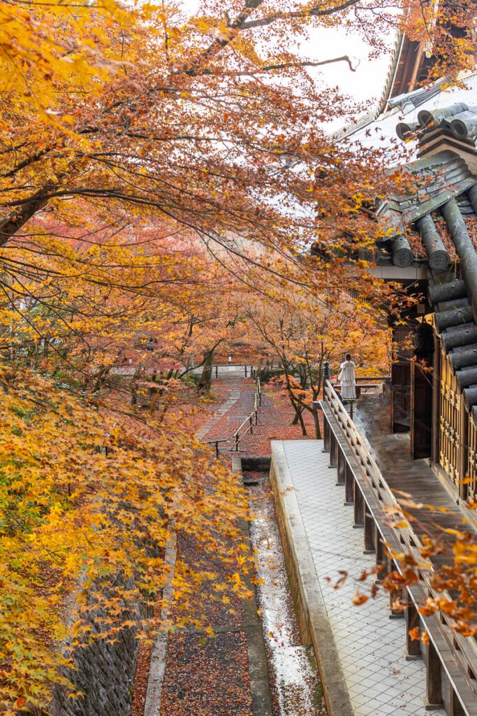 Fall at its Peak in Eikando Temple, Kyoto