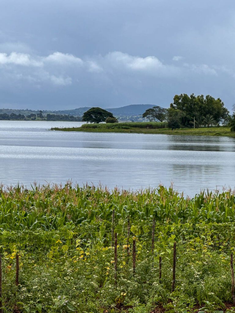 Kabini River , Karnataka