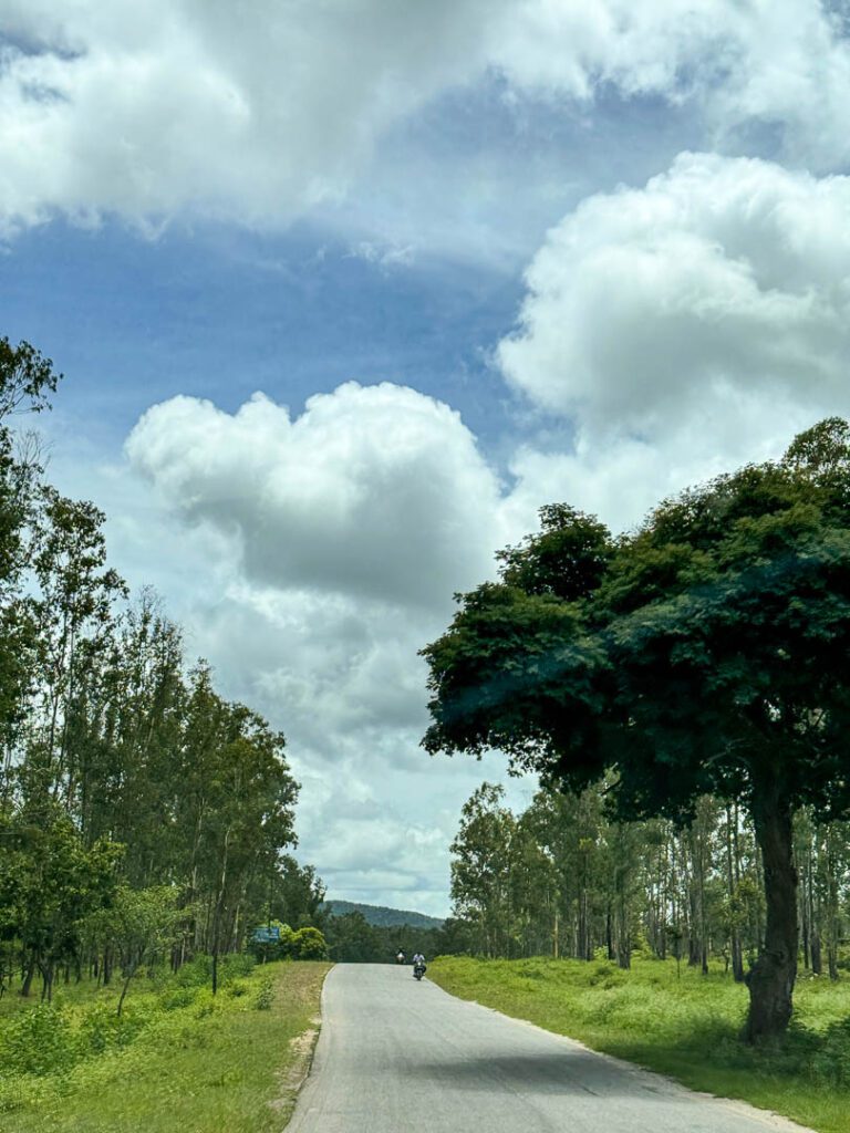 Driving in bandipur national park