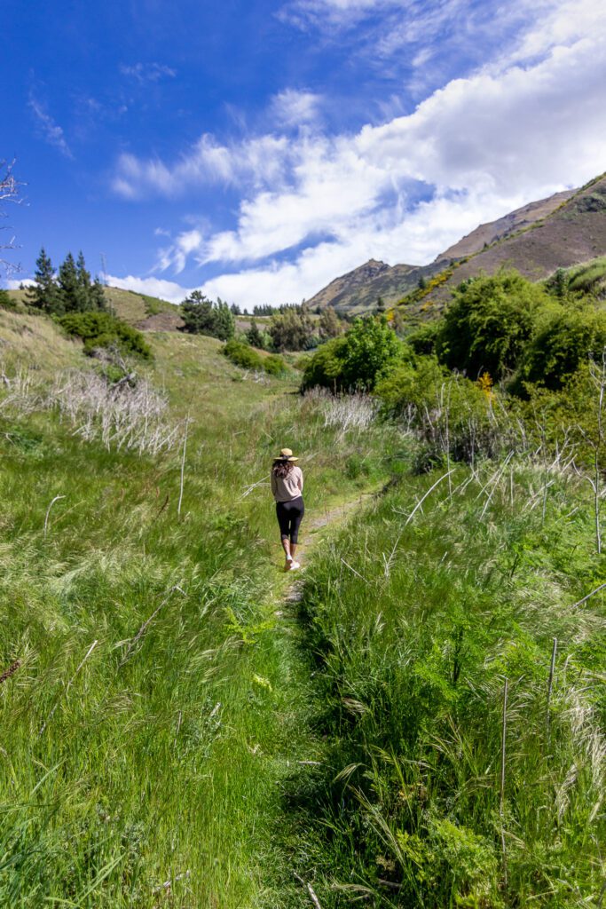 Random views and hikes around Queenstown