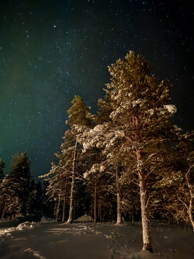 Arctic scenery at Wilderness Hotels Muotka