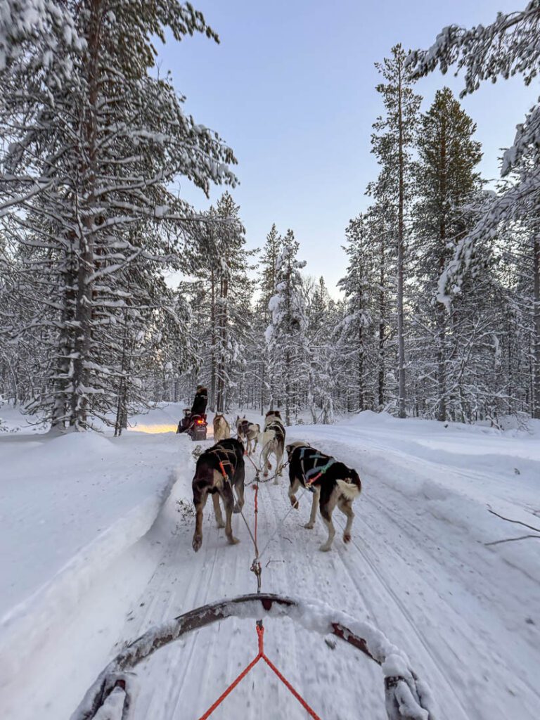 Husky Safari in Finnish Lapland