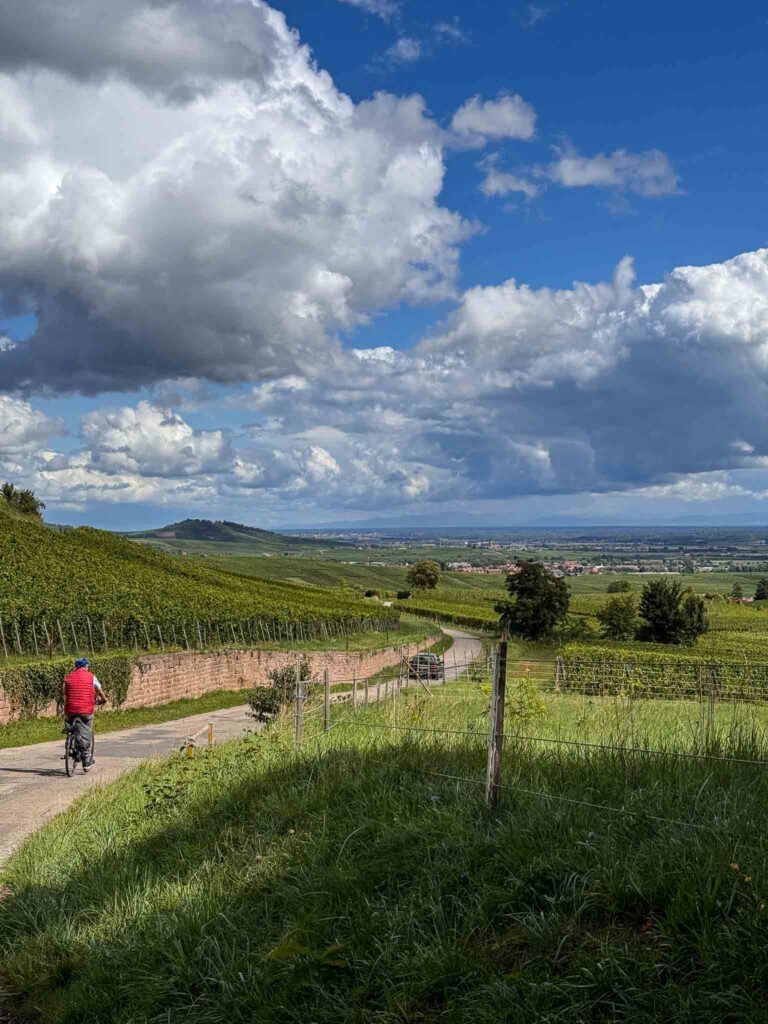 hiking trail from Hunawihr to Riquewihr 
