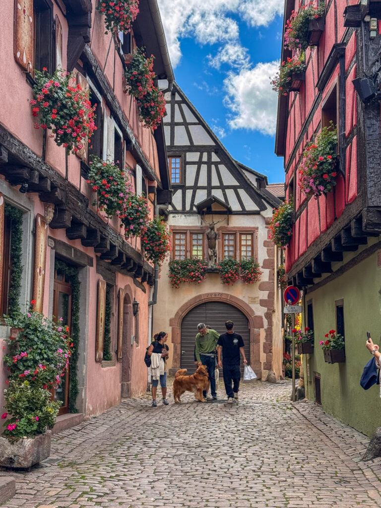 Riquewihr Village in Alsace region